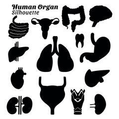 Collection of silhouette illustrations of human organ