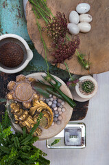 still life gardening 