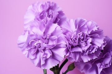  a vase filled with purple flowers on top of a pink table cloth covered tablecloth and a pink wall behind the vase is a pink background with a few flowers in the middle.