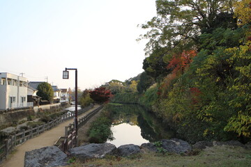 Fototapeta na wymiar Senhime's path and autumn leaves in the early morning in Himeji, Japan