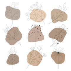 Set of abstract elements. Scheme
flowers, leaves and berries. aesthetic contour. Vector illustration