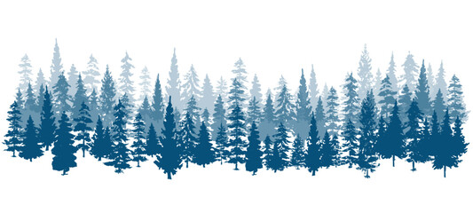 Winter background with pine trees - 705804862