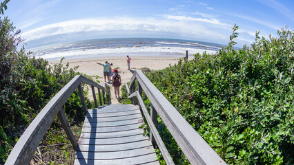 People Walkway Path Boardwalk Steps Vegetation Beach Ocean Summer Landscape - 705806067