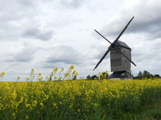 Paysage de campagne avec un moulin à vent