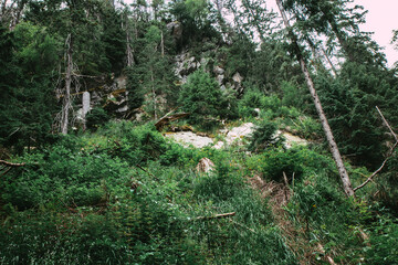 Overgrown rock cornice in Tatras
