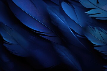 Beautiful feathers background in dark blue and black colors. Closeup image of colorful fluffy feather. Natural pattern. Minimal abstract composition with copy space