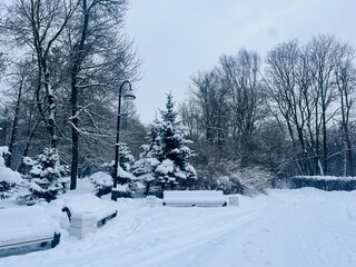 Winter park, snowy city park, no people