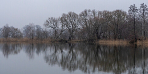 Obraz premium Winterimpressionen aus dem UNESCO Biosphärenreservat Oberlausitzer Heide- Teichlandschaft- Teichgebiet Milkel 1