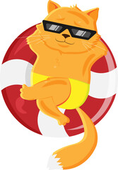 cat on summer holidays