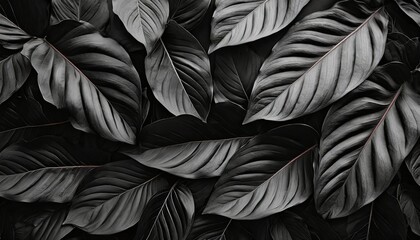 textures of abstract black leaves for tropical leaf background flat lay dark nature concept tropical leaf digital ai - obrazy, fototapety, plakaty