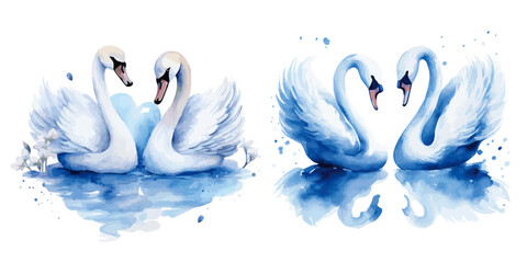 blue swan couples making heart shapes
