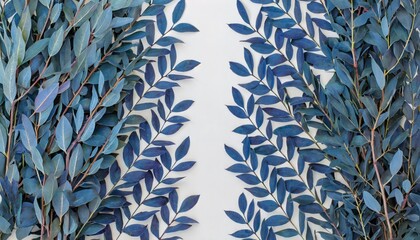 stripe from tree branches with blue leaves