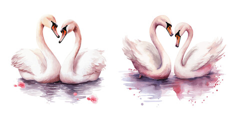 Pink couple swans making heart shape in love