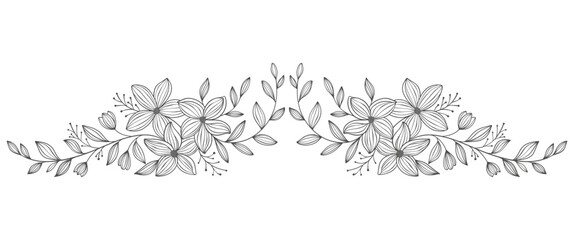Line art Floral Botany. flower vector drawings. Black and white floral line art on transparent backgrounds. Hand Drawn Botanical Illustrations.Vector.