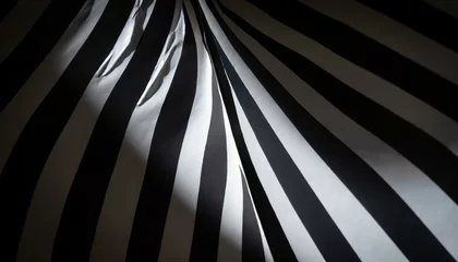 Tuinposter zebra stripes background © Pikbundle