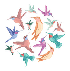 The flight of many different hummingbirds inscribed in a circle. Vector image for design, decoration, textile, article, postcard, gift.