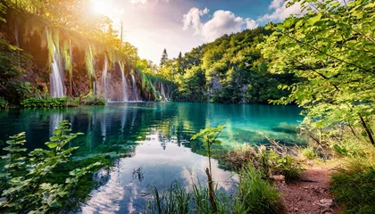 Zelfklevend Fotobehang lake in the forest © Pikbundle