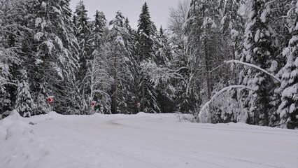 Turning road, bending road covered with snow in a snowy forest during the day