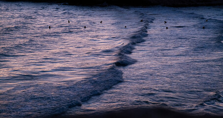 El mar al atardecer teñido de color rosado y liloso. Paisaje de verano, mar con suave oleaje. 