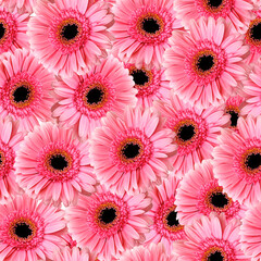 Seamless pattern of pink gerbera. Daisy flower floral background, gift wrapping, textile pattern, wallpapers, prints