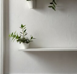 Empty white shelf with copy space for text or design