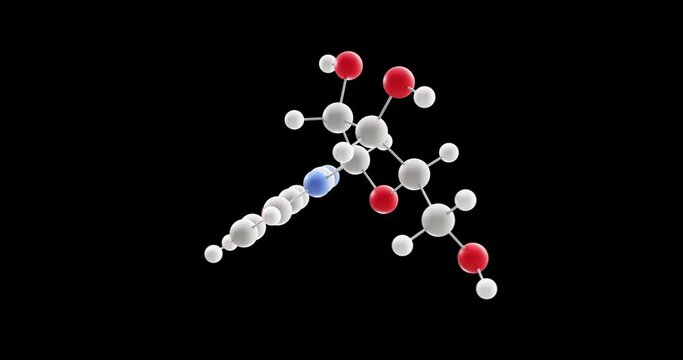 Nicotinamide riboside molecule, rotating 3D model of vitamin b3, looped video on a black background
