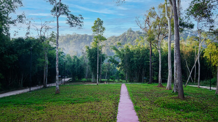 Empty straight concrete walkway winds through a green nature park with trees and plants in the forest, view in Lam Khlong Ngu national park, Kanchanaburi Province,Thailand. Travel concept.