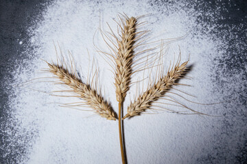 Three ears of wheat in the form of a trident on a white background of flour