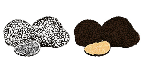 Black truffles isolated on a white background. Fresh sliced truffle. Delicacy exclusive truffle mushroom. on white background