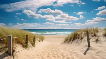Papier Peint photo Mer du Nord, Pays-Bas Path to the beach through the sand dunes