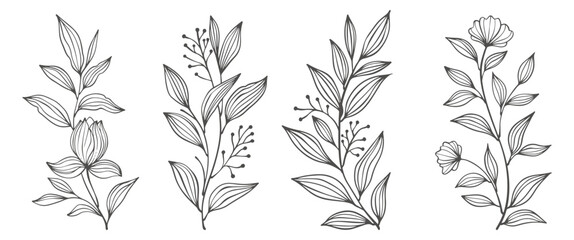 set of flowers. Outline Floral Botany. flower vector drawings. Black and white floral line art on transparent backgrounds. Hand Drawn Botanical Illustrations.Vector. - obrazy, fototapety, plakaty