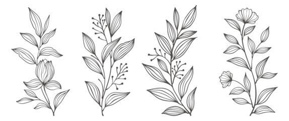 Fotobehang set of flowers. Outline Floral Botany. flower vector drawings. Black and white floral line art on transparent backgrounds. Hand Drawn Botanical Illustrations.Vector. © senimanto