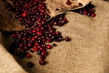 Natural vitamin food. Forest medicinal berries. Red cranberries are scattered on natural linen fabric. Berries on textiles. Forest berries are full of vitamins.