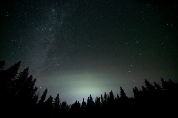 Wide angle view looking up at the night sky with many stars including the milky way and the big dipper. The foreground is a silhouette of pine and spruce trees.
 - obrazy, fototapety, plakaty