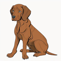 a vizsla dog in the style of a neopet, generative ai
