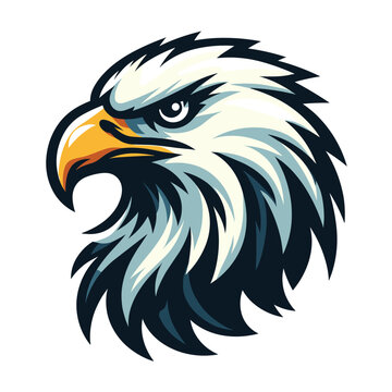 bird eagle hawk head logo mascot design vector illustration isolated on white background