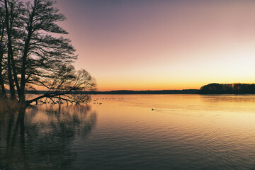 Sunset over the River - Sky - Water - Landscape - Background -  Colorful - Concept - Sunrise -...