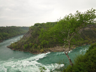 Niagara falls attractions water and trees
