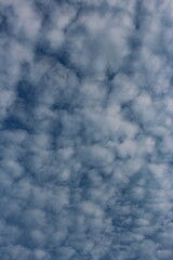 White clouds in the day blue sky