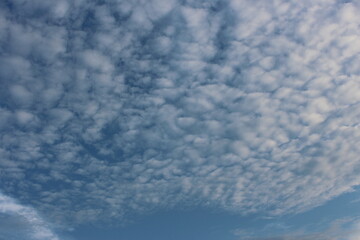 White clouds in the day blue sky