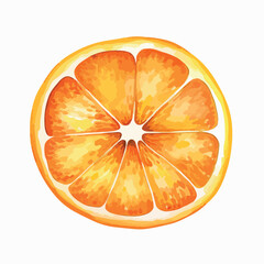 Watercolor vector illustration of a banner with citrus fruits and leaves.