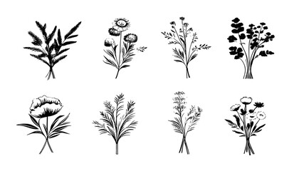 Set of hand drawn wild flower icons. Collection of hand drawn line botanical elements. Vector illustration - obrazy, fototapety, plakaty