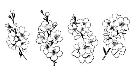 Sketch Floral Botany Collection. Apple tree branch with flower drawings. Hand Drawn Botanical Illustrations.