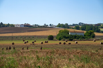 Fototapeta na wymiar Rural landscape in Sannio, Benevento province, Italy