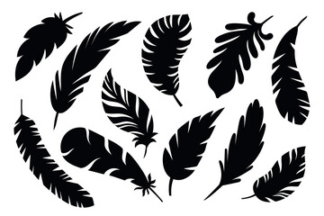 Black feather shapes. simple decorative icons, natural elements silhouettes, birds plumage objects, vintage logo symbols, vector set.eps - obrazy, fototapety, plakaty