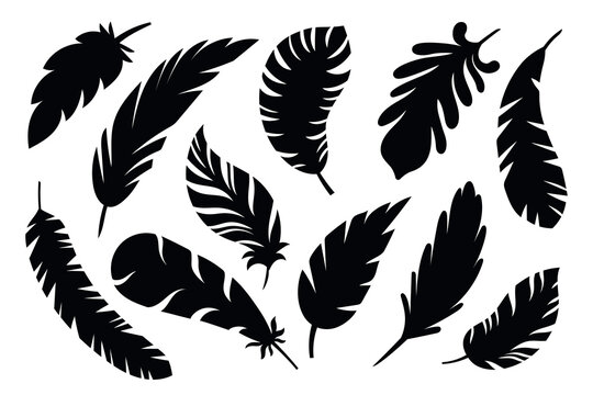 Fototapeta Black feather shapes. simple decorative icons, natural elements silhouettes, birds plumage objects, vintage logo symbols, vector set.eps