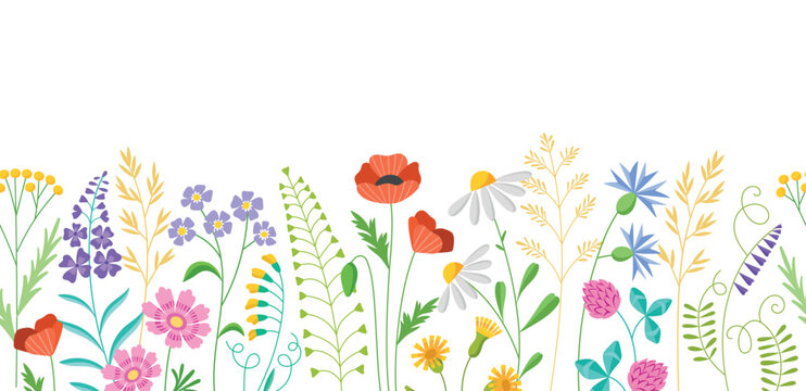 Beautiful meadow flowers. Summer field grasses, spring blooming herbs, repeated background, wild decorative plants, vector seamless borders.eps