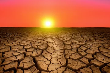 Fotobehang Dry river in desert. Drought land in Global drought. Dry cracked earth after Dry lake. World Climate change. Dried earth in Water crisis. No freshwater in desert. Cracked dried soil after dry sea. © MaxSafaniuk