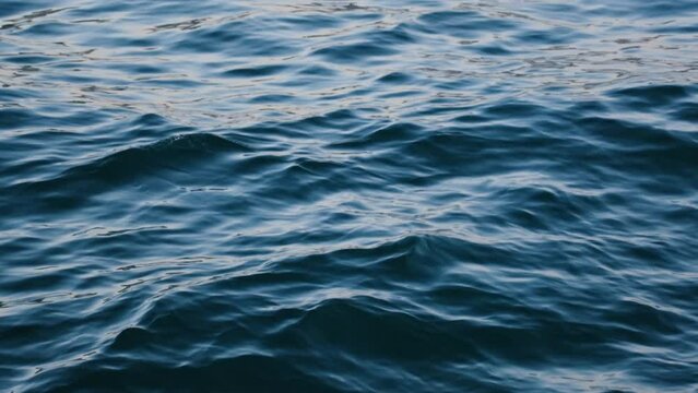 waves of the sea
