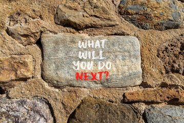 What will you do next symbol. Concept words What will you do next on beautiful stone. Beautiful stone wall background. Business, what will you do next concept. Copy space.